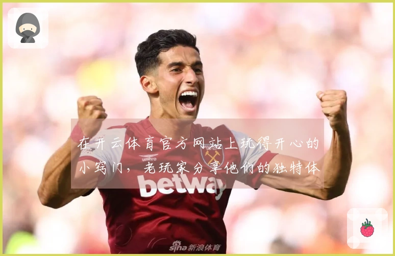 在开云体育官方网站上玩得开心的小窍门，老玩家分享他们的独特体验与心得